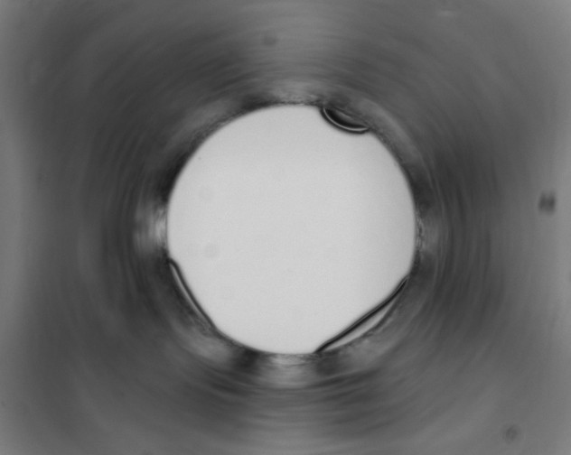 X0000101230095200807251144