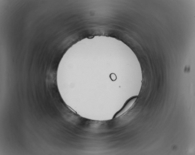 X0000101230096200807251144