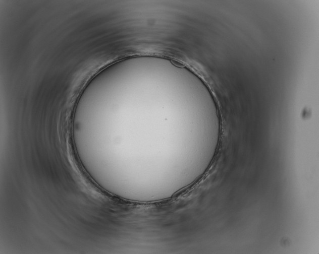 X0000101230097200807251144