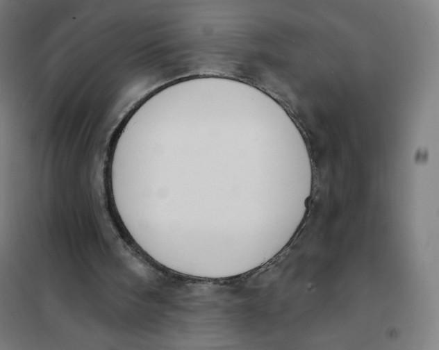 X0000101230098200807251144