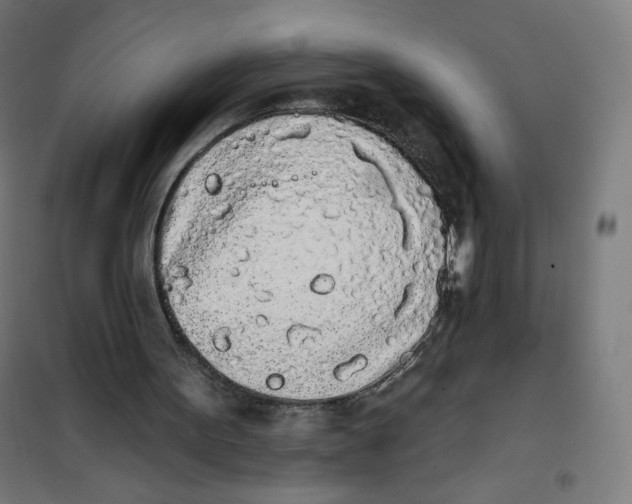 X0000101230099200807251144