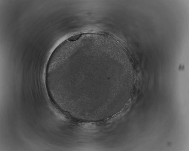 X0000101230100200807251144