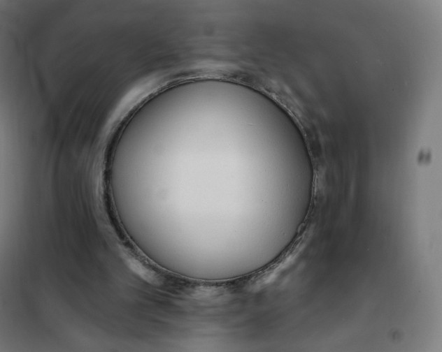 X0000101230101200807251144