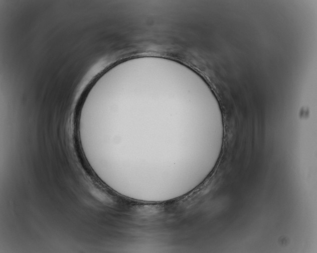 X0000101230102200807251144