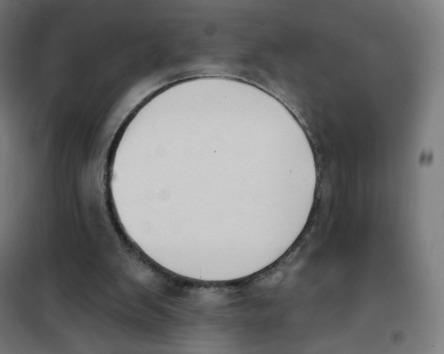 X0000101230103200807251144
