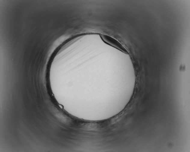 X0000101230104200807251144