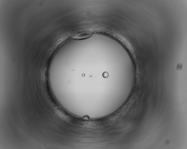 X0000101230105200807251144