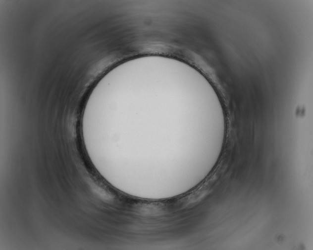 X0000101230106200807251144
