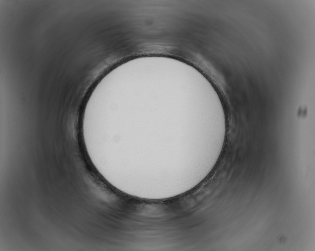 X0000101230107200807251144