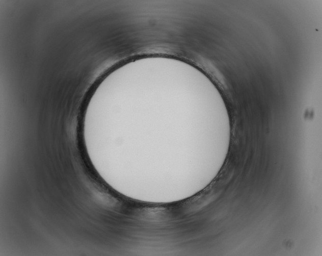 X0000101230108200807251144