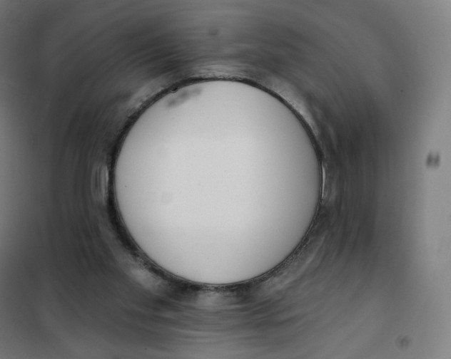 X0000101230109200807251144