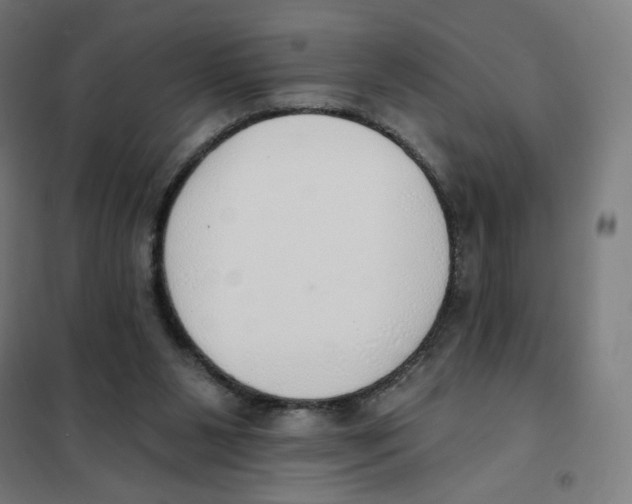 X0000101230111200807251143