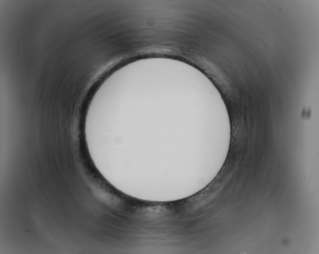 X0000101230112200807251143