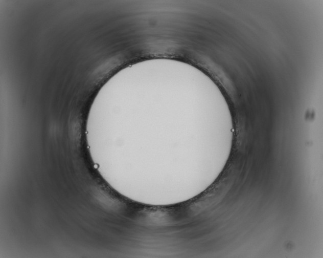 X0000101230113200807251143
