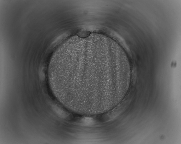 X0000101230114200807251143