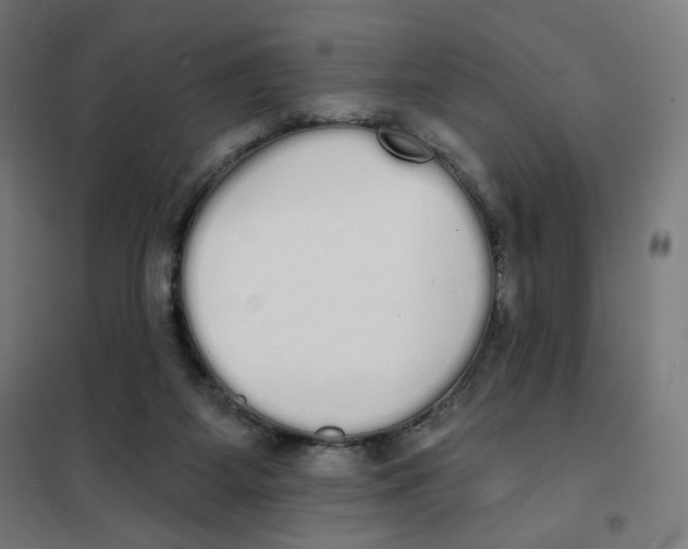 X0000101230115200807251143