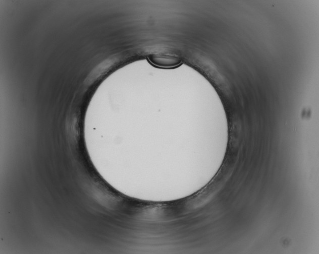 X0000101230116200807251143