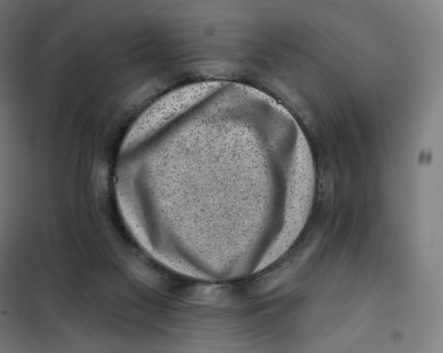 X0000101230117200807251143