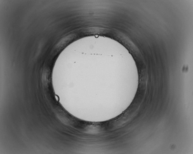 X0000101230119200807251143