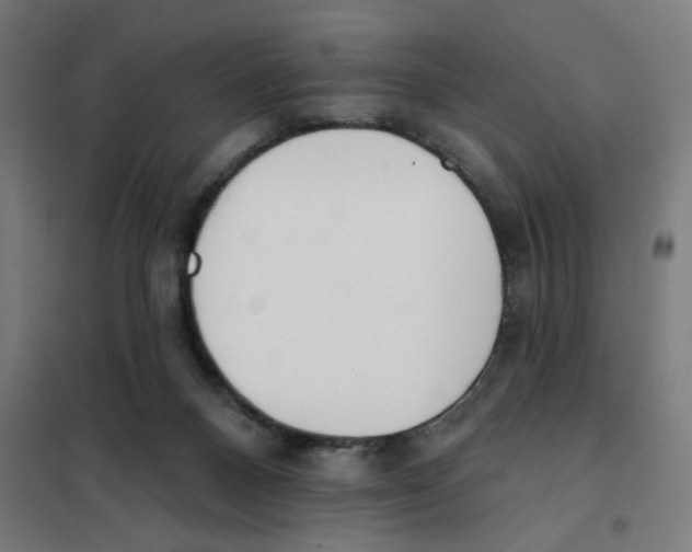 X0000101230120200807251143
