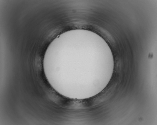 X0000101230121200807251143
