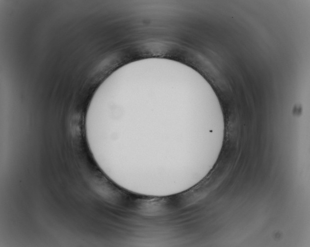 X0000101230122200807251143