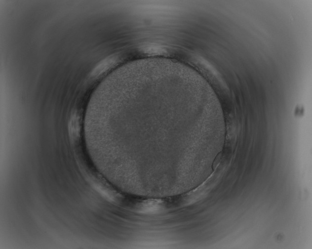 X0000101230124200807251143