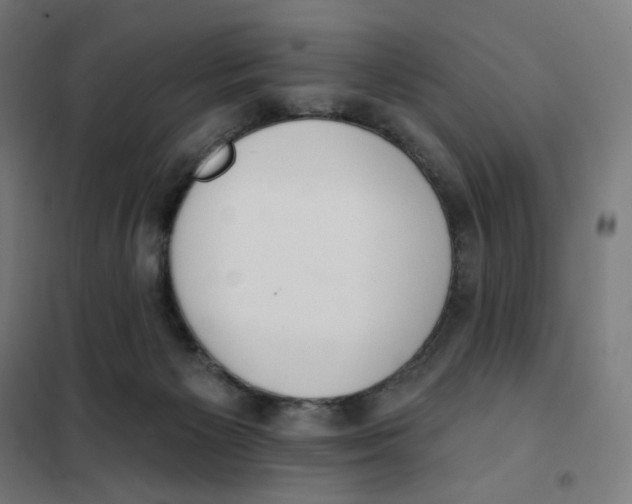 X0000101230125200807251143