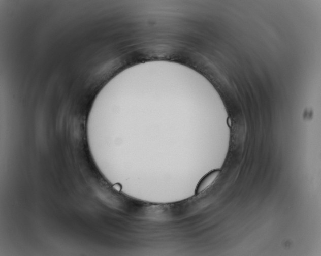 X0000101230126200807251143