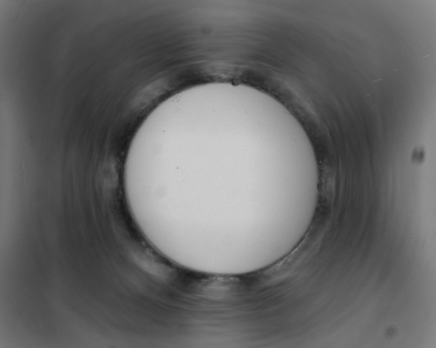 X0000101230128200807251143