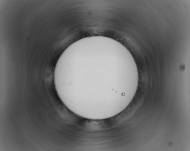 X0000101230129200807251143