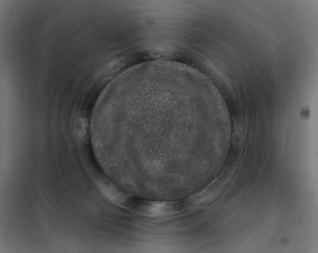 X0000101230130200807251143