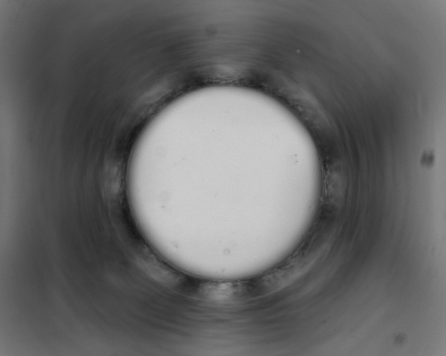 X0000101230131200807251143