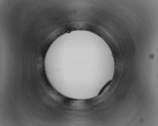 X0000101230132200807251143