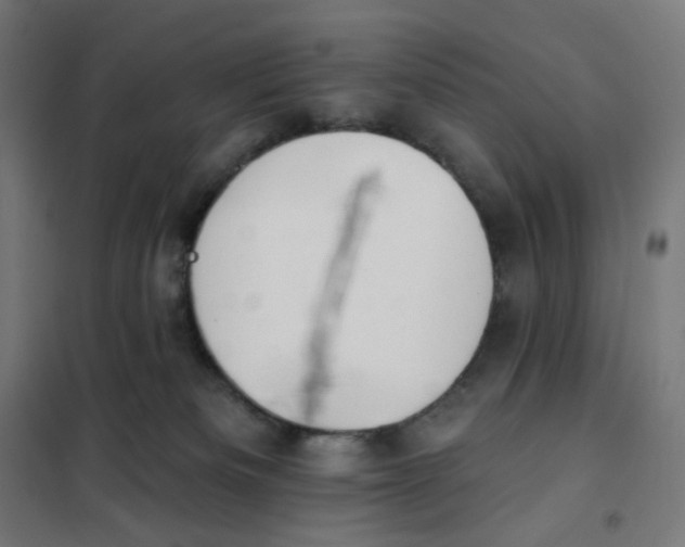 X0000101230133200807251143