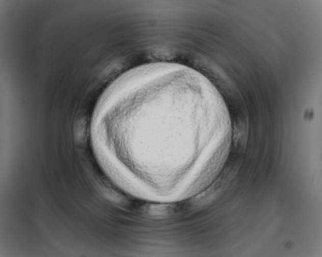 X0000101230134200807251143