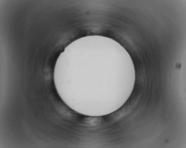X0000101230135200807251143