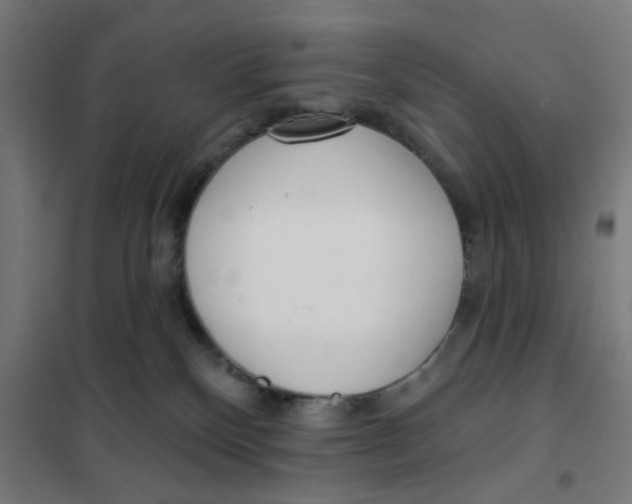 X0000101230136200807251143