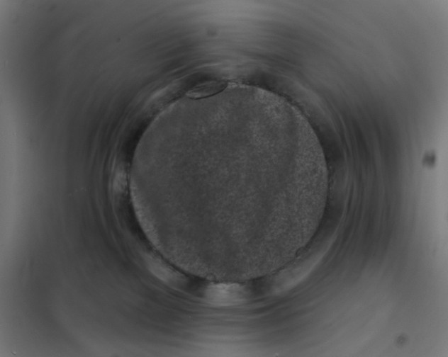 X0000101230137200807251143