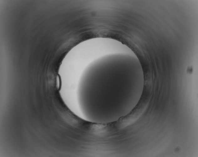 X0000101230139200807251143