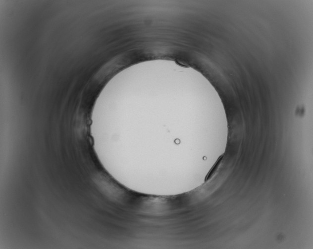 X0000101230140200807251143