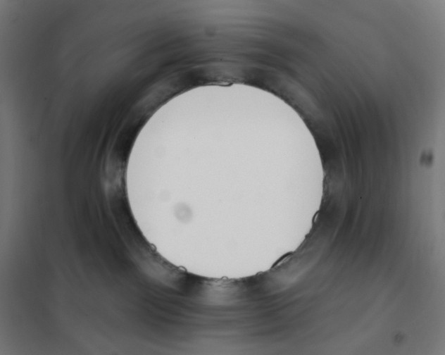 X0000101230141200807251143