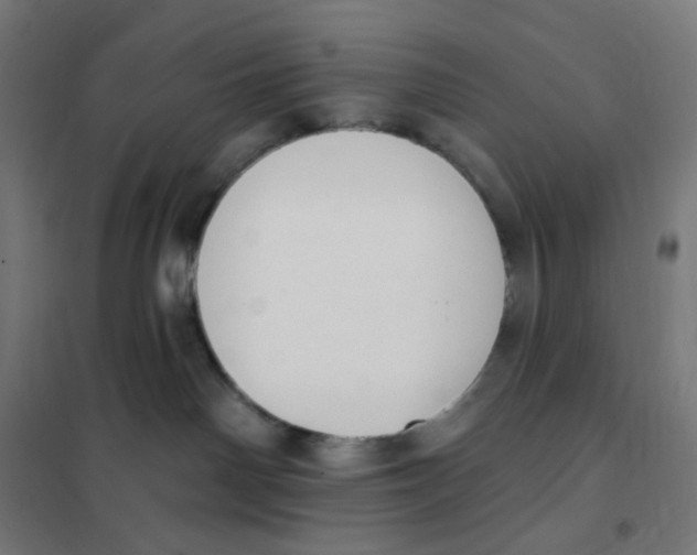 X0000101230142200807251143