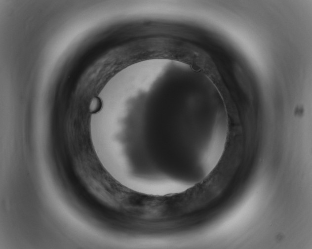 X0000101230143200807251143