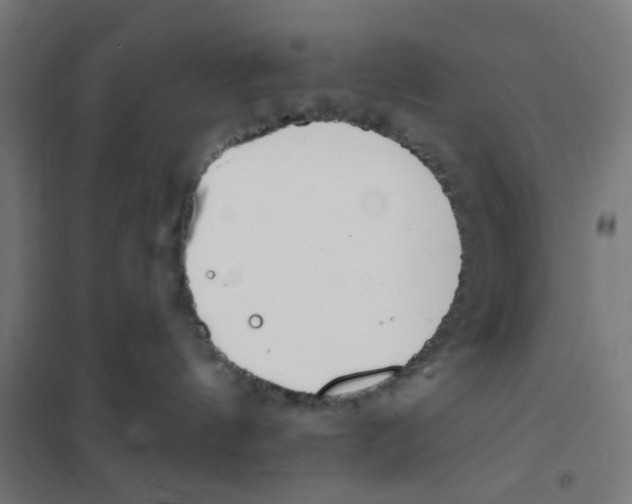 X0000101230144200807251143