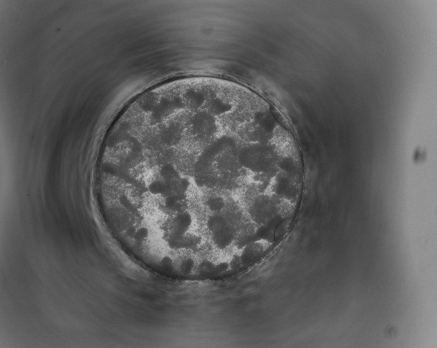 X0000101230145200807251142