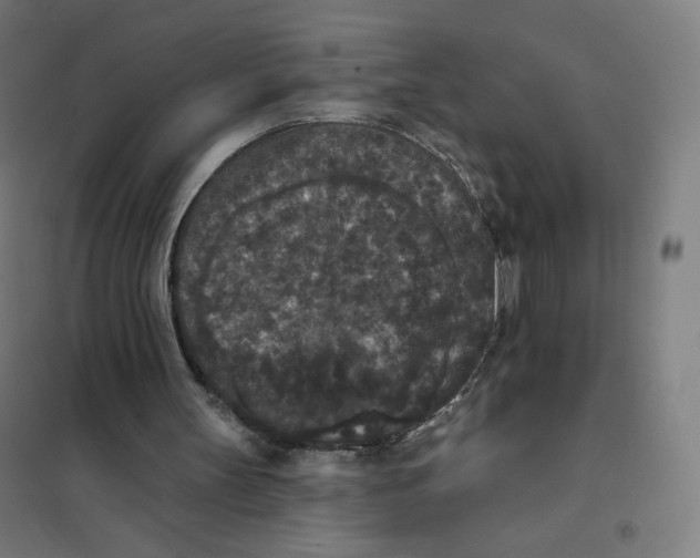 X0000101230147200807251142