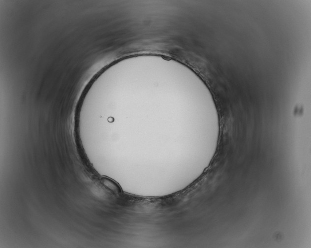 X0000101230148200807251142