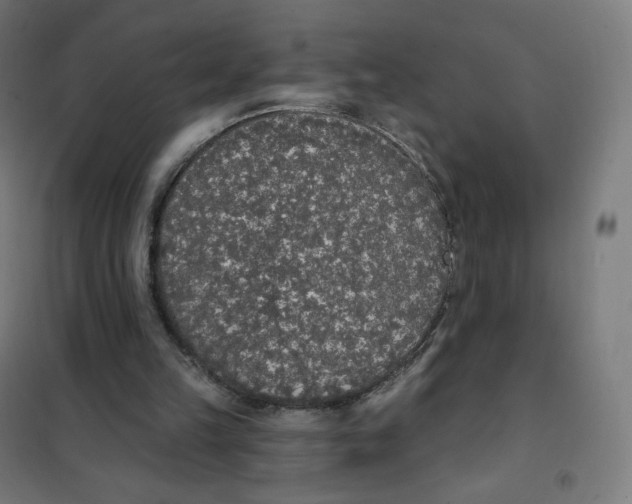X0000101230149200807251142