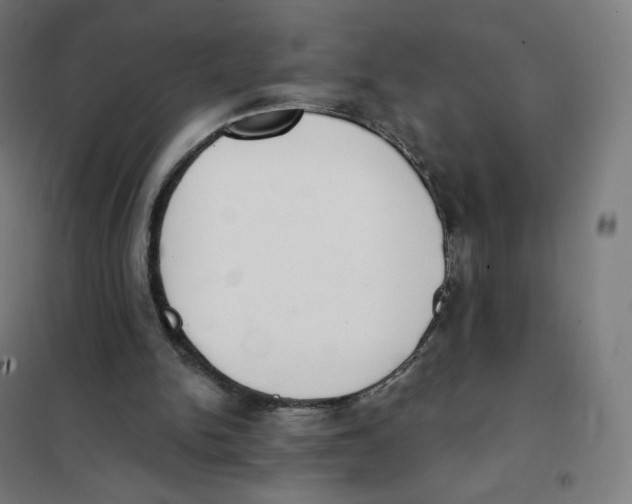 X0000101230150200807251142